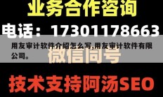 用友审计软件介绍怎么写,用友审计软件有限公司。