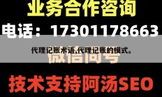 代理记账术语,代理记账的模式。