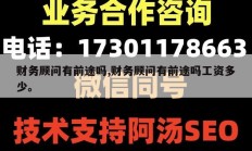 财务顾问有前途吗,财务顾问有前途吗工资多少。