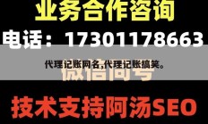 代理记账网名,代理记账搞笑。