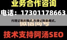 代理记账的模式,代理记账新模式。