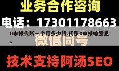 0申报代账一个月多少钱,代账0申报啥意思。
