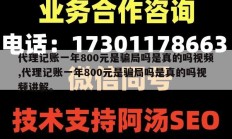 代理记账一年800元是骗局吗是真的吗视频,代理记账一年800元是骗局吗是真的吗视频讲解。