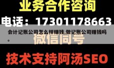 会计记账公司怎么样赚钱,做记账公司赚钱吗。