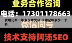 代理记账一年多少本凭证,代理记帐多少一个月。