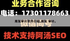 用友审计软件介绍,用友 审计。