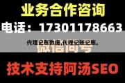 代理记账数据,代理记账记账。
