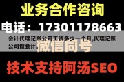 会计代理记账公司工资多少一个月,代理记账公司做会计。