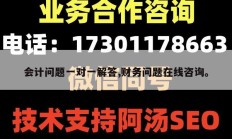 会计问题一对一解答,财务问题在线咨询。