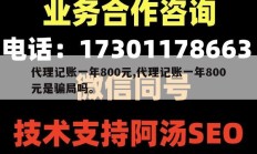 代理记账一年800元,代理记账一年800元是骗局吗。