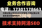代理记账公司主办会计好做吗,代理记账公司主办会计好做吗知乎。