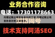代理记账公司主办会计的工资,代理记账公司主办会计的工资多少。