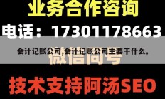 会计记账公司,会计记账公司主要干什么。