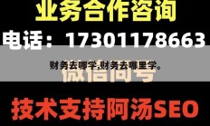 财务去哪学,财务去哪里学。