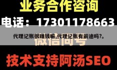 代理记账很赚钱嘛,代理记账有前途吗?。
