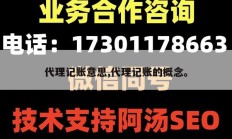 代理记账意思,代理记账的概念。