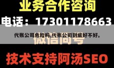 代账公司危险吗,代账公司到底好不好。